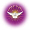 the violet light sg logo the violet light sg logo